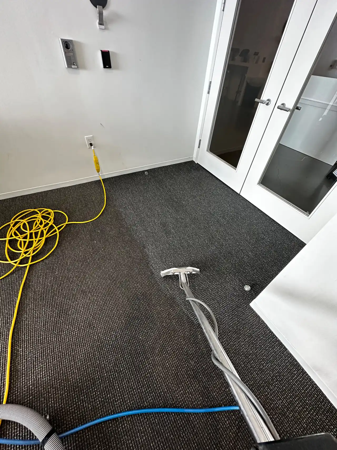 How Often Should You Actually Clean Your Carpet?