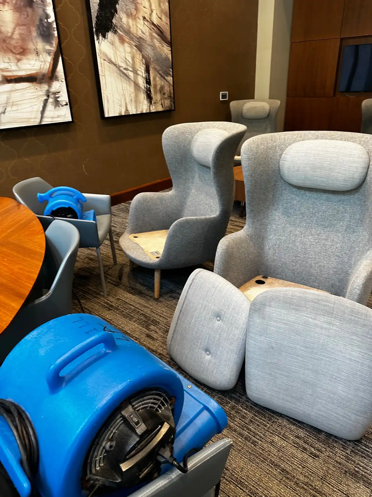 Upholstered chairs drying after a cleaning by Mr. Brush Cleaning Service LLC